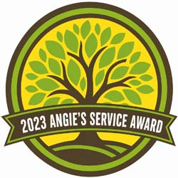 2023-angies-service-award