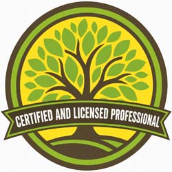 certified-and-licensed-professional