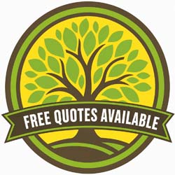 free-quotes-available