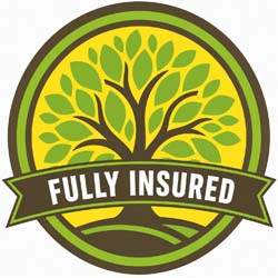 fully-insured