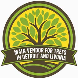 main-vendor-for-trees-in-detroit-and-livonia